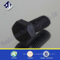 Cap Screw Gr8.8 Sechskantschraube (Schwarz)